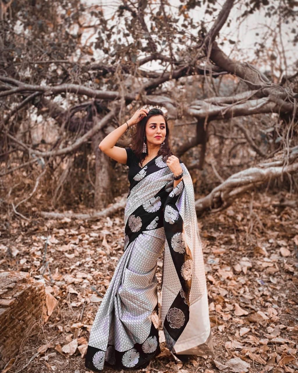 Black and Grey Printed Saree with Statement Motifs
